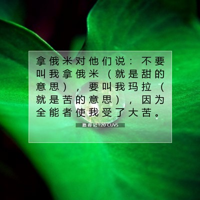Picture 07 - 路 得 记 1:20 CUVS - 拿 俄 米 对 他 们 说 ： 不 要 叫 我 - Bible Verse Picture