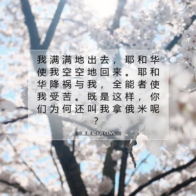 Picture 07 - 路 得 记 1:21 CUVS - 我 满 满 地 出 去 ， 耶 和 华 使 我 - Bible Verse Picture