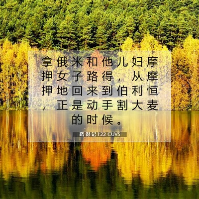 Picture 07 - 路 得 记 1:22 CUVS - 拿 俄 米 和 他 儿 妇 摩 押 女 子 路 - Bible Verse Picture