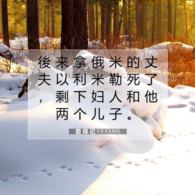 Picture 07 - 路 得 记 1:3 CUVS - 後 来 拿 俄 米 的 丈 夫 以 利 米 勒 - Bible Verse Picture