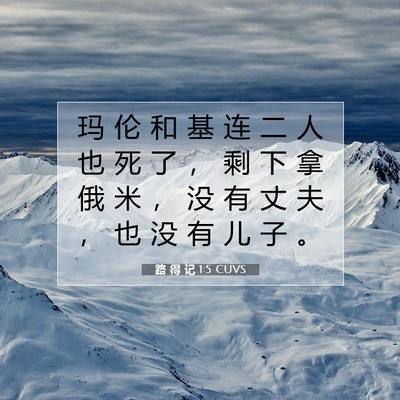 Picture 07 - 路 得 记 1:5 CUVS - 玛 伦 和 基 连 二 人 也 死 了 ， 剩 - Bible Verse Picture