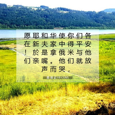 Picture 07 - 路 得 记 1:9 CUVS - 愿 耶 和 华 使 你 们 各 在 新 夫 家 - Bible Verse Picture