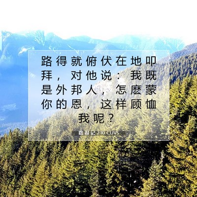Picture 07 - 路 得 记 2:10 CUVS - 路 得 就 俯 伏 在 地 叩 拜 ， 对 他 - Bible Verse Picture