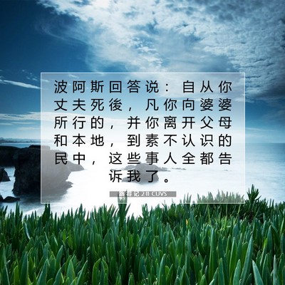 Picture 07 - 路 得 记 2:11 CUVS - 波 阿 斯 回 答 说 ： 自 从 你 丈 夫 - Bible Verse Picture