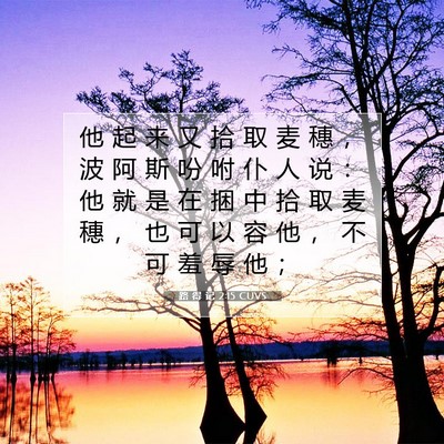 Picture 07 - 路 得 记 2:15 CUVS - 他 起 来 又 拾 取 麦 穗 ， 波 阿 斯 - Bible Verse Picture