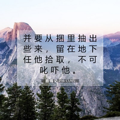 Picture 07 - 路 得 记 2:16 CUVS - 并 要 从 捆 里 抽 出 些 来 ， 留 在 - Bible Verse Picture