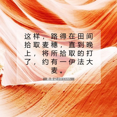 Picture 07 - 路 得 记 2:17 CUVS - 这 样 ， 路 得 在 田 间 拾 取 麦 穗 - Bible Verse Picture