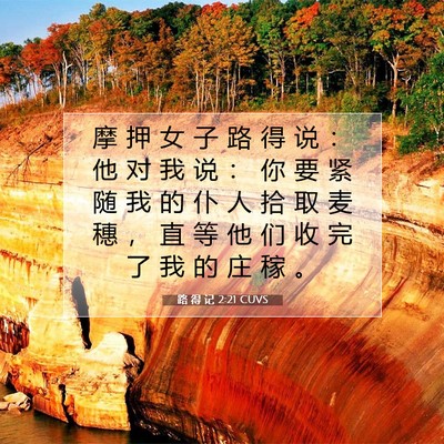 Picture 07 - 路 得 记 2:21 CUVS - 摩 押 女 子 路 得 说 ： 他 对 我 说 - Bible Verse Picture