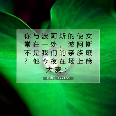 Picture 07 - 路 得 记 3:2 CUVS - 你 与 波 阿 斯 的 使 女 常 在 一 处 - Bible Verse Picture
