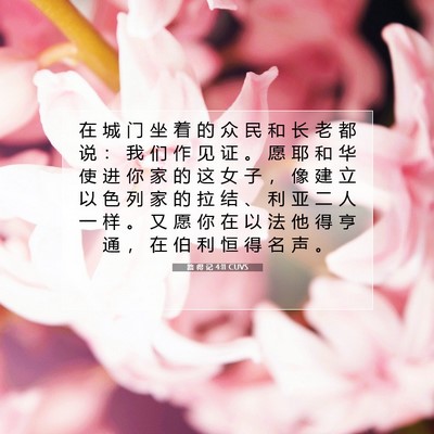 Picture 07 - 路 得 记 4:11 CUVS - 在 城 门 坐 着 的 众 民 和 长 老 都 - Bible Verse Picture