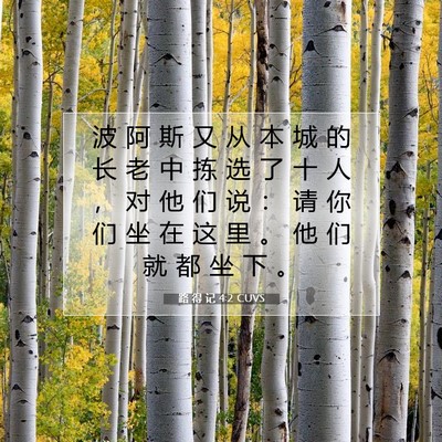 Picture 07 - 路 得 记 4:2 CUVS - 波 阿 斯 又 从 本 城 的 长 老 中 拣 - Bible Verse Picture