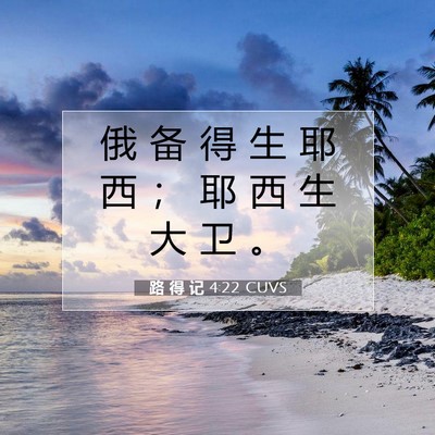 Picture 07 - 路 得 记 4:22 CUVS - 俄 备 得 生 耶 西 ； 耶 西 生 大 卫 - Bible Verse Picture