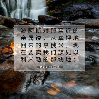 Picture 07 - 路 得 记 4:3 CUVS - 波 阿 斯 对 那 至 近 的 亲 属 说 ： - Bible Verse Picture