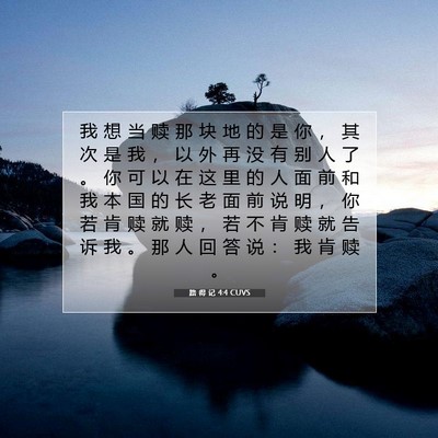 Picture 07 - 路 得 记 4:4 CUVS - 我 想 当 赎 那 块 地 的 是 你 ， 其 - Bible Verse Picture