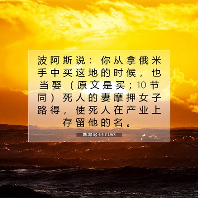 Picture 07 - 路 得 记 4:5 CUVS - 波 阿 斯 说 ： 你 从 拿 俄 米 手 中 - Bible Verse Picture