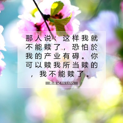 Picture 07 - 路 得 记 4:6 CUVS - 那 人 说 ： 这 样 我 就 不 能 赎 了 - Bible Verse Picture