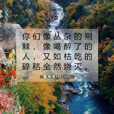 Picture 07 - 那 鸿 书 1:10 CUVS - 你 们 像 丛 杂 的 荆 棘 ， 像 喝 醉 - Bible Verse Picture