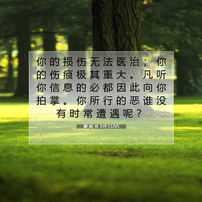 Picture 07 - 那 鸿 书 3:19 CUVS - 你 的 损 伤 无 法 医 治 ； 你 的 伤 - Bible Verse Picture