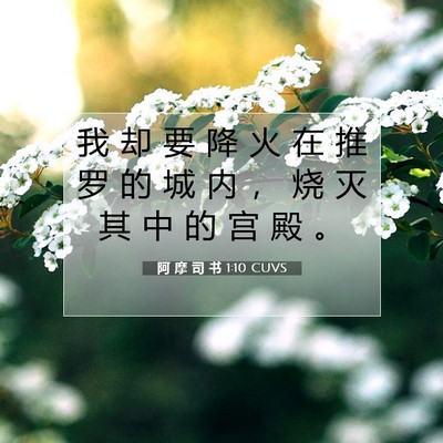 Picture 07 - 阿 摩 司 书 1:10 CUVS - 我 却 要 降 火 在 推 罗 的 城 内 ， - Bible Verse Picture