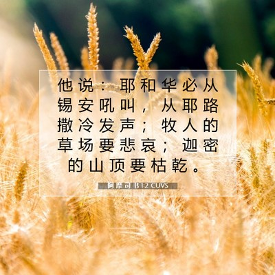 Picture 07 - 阿 摩 司 书 1:2 CUVS - 他 说 ： 耶 和 华 必 从 锡 安 吼 叫 - Bible Verse Picture