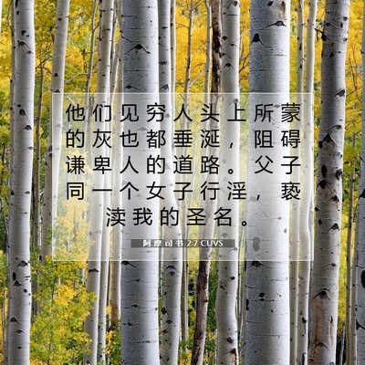 Picture 07 - 阿 摩 司 书 2:7 CUVS - 他 们 见 穷 人 头 上 所 蒙 的 灰 也 - Bible Verse Picture
