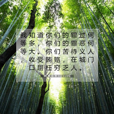 Picture 07 - 阿 摩 司 书 5:12 CUVS - 我 知 道 你 们 的 罪 过 何 等 多 ， - Bible Verse Picture