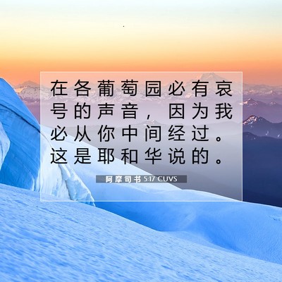 Picture 07 - 阿 摩 司 书 5:17 CUVS - 在 各 葡 萄 园 必 有 哀 号 的 声 音 - Bible Verse Picture
