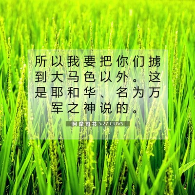 Picture 07 - 阿 摩 司 书 5:27 CUVS - 所 以 我 要 把 你 们 掳 到 大 马 色 - Bible Verse Picture
