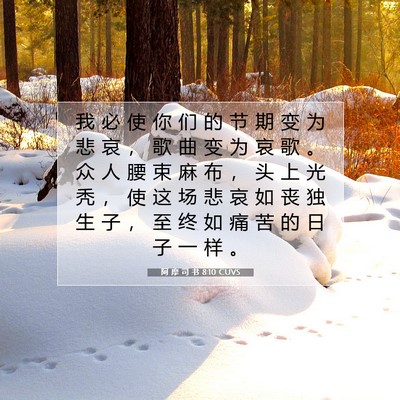Picture 07 - 阿 摩 司 书 8:10 CUVS - 我 必 使 你 们 的 节 期 变 为 悲 哀 - Bible Verse Picture