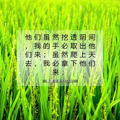 Picture 07 - 阿 摩 司 书 9:2 CUVS - 他 们 虽 然 挖 透 阴 间 ， 我 的 手 - Bible Verse Picture