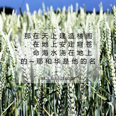 Picture 07 - 阿 摩 司 书 9:6 CUVS - 那 在 天 上 建 造 楼 阁 、 在 地 上 - Bible Verse Picture