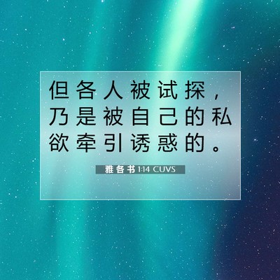 Picture 07 - 雅 各 书 1:14 CUVS - 但 各 人 被 试 探 ， 乃 是 被 自 己 - Bible Verse Picture