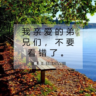 Picture 07 - 雅 各 书 1:16 CUVS - 我 亲 爱 的 弟 兄 们 ， 不 要 看 错 - Bible Verse Picture