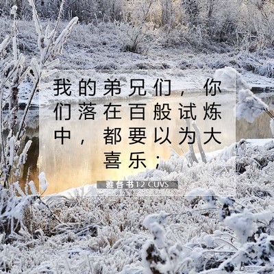 Picture 07 - 雅 各 书 1:2 CUVS - 我 的 弟 兄 们 ， 你 们 落 在 百 般 - Bible Verse Picture