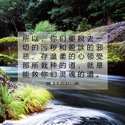 Picture 07 - 雅 各 书 1:21 CUVS - 所 以 ， 你 们 要 脱 去 一 切 的 污 - Bible Verse Picture