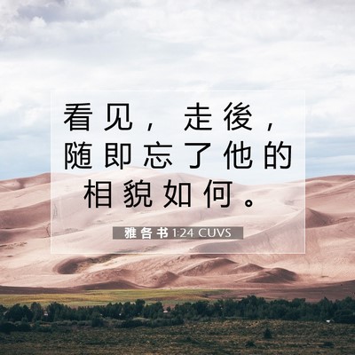 Picture 07 - 雅 各 书 1:24 CUVS - 看 见 ， 走 後 ， 随 即 忘 了 他 的 - Bible Verse Picture