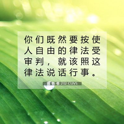 Picture 07 - 雅 各 书 2:12 CUVS - 你 们 既 然 要 按 使 人 自 由 的 律 - Bible Verse Picture