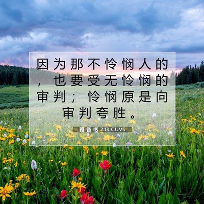 Picture 07 - 雅 各 书 2:13 CUVS - 因 为 那 不 怜 悯 人 的 ， 也 要 受 - Bible Verse Picture