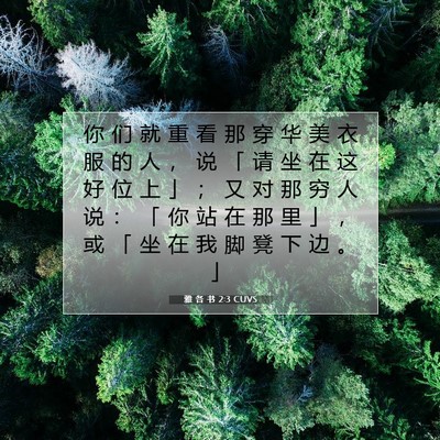 Picture 07 - 雅 各 书 2:3 CUVS - 你 们 就 重 看 那 穿 华 美 衣 服 的 - Bible Verse Picture