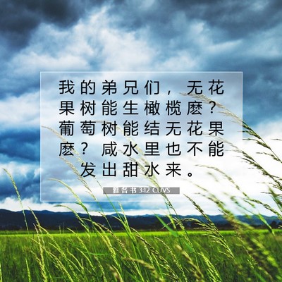 Picture 07 - 雅 各 书 3:12 CUVS - 我 的 弟 兄 们 ， 无 花 果 树 能 生 - Bible Verse Picture