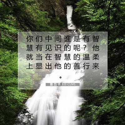 Picture 07 - 雅 各 书 3:13 CUVS - 你 们 中 间 谁 是 有 智 慧 有 见 识 - Bible Verse Picture
