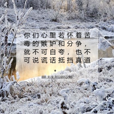 Picture 07 - 雅 各 书 3:14 CUVS - 你 们 心 里 若 怀 着 苦 毒 的 嫉 妒 - Bible Verse Picture