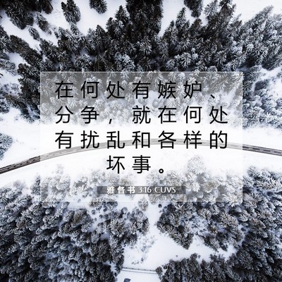 Picture 07 - 雅 各 书 3:16 CUVS - 在 何 处 有 嫉 妒 、 分 争 ， 就 在 - Bible Verse Picture