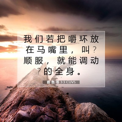 Picture 07 - 雅 各 书 3:3 CUVS - 我 们 若 把 嚼 环 放 在 马 嘴 里 ， - Bible Verse Picture