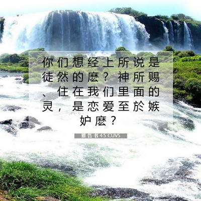 Picture 07 - 雅 各 书 4:5 CUVS - 你 们 想 经 上 所 说 是 徒 然 的 麽 - Bible Verse Picture