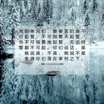 Picture 07 - 雅 各 书 5:12 CUVS - 我 的 弟 兄 们 ， 最 要 紧 的 是 不 - Bible Verse Picture