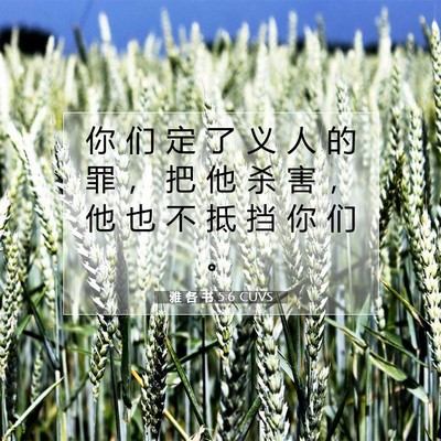 Picture 07 - 雅 各 书 5:6 CUVS - 你 们 定 了 义 人 的 罪 ， 把 他 杀 - Bible Verse Picture