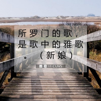 Picture 07 - 雅 歌 1:1 CUVS - 所 罗 门 的 歌 ， 是 歌 中 的 雅 歌 - Bible Verse Picture