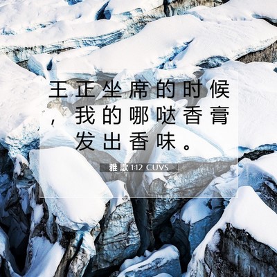 Picture 07 - 雅 歌 1:12 CUVS - 王 正 坐 席 的 时 候 ， 我 的 哪 哒 - Bible Verse Picture