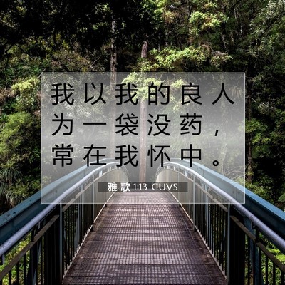 Picture 07 - 雅 歌 1:13 CUVS - 我 以 我 的 良 人 为 一 袋 没 药 ， - Bible Verse Picture